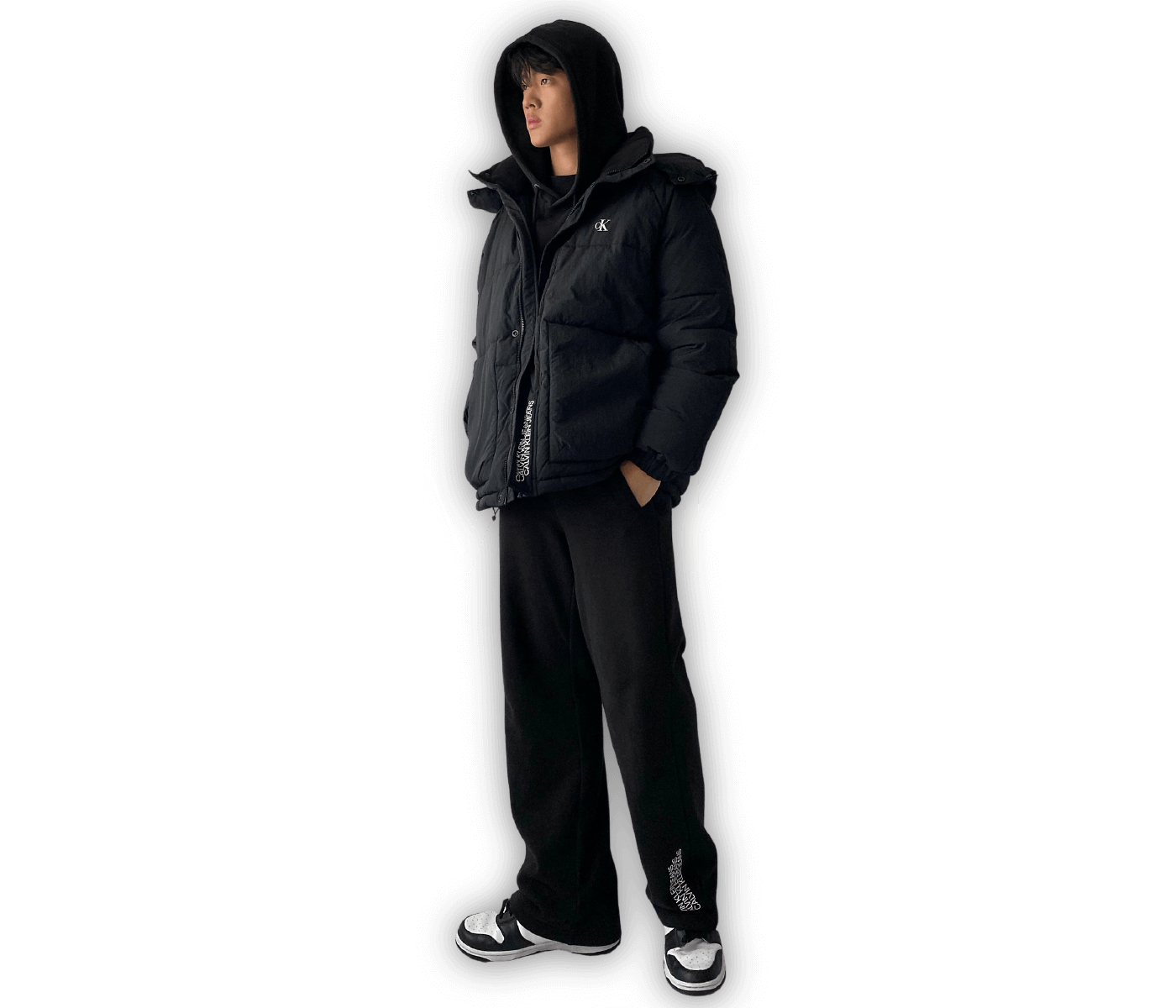 Calvin Klein - Hudson Holdings